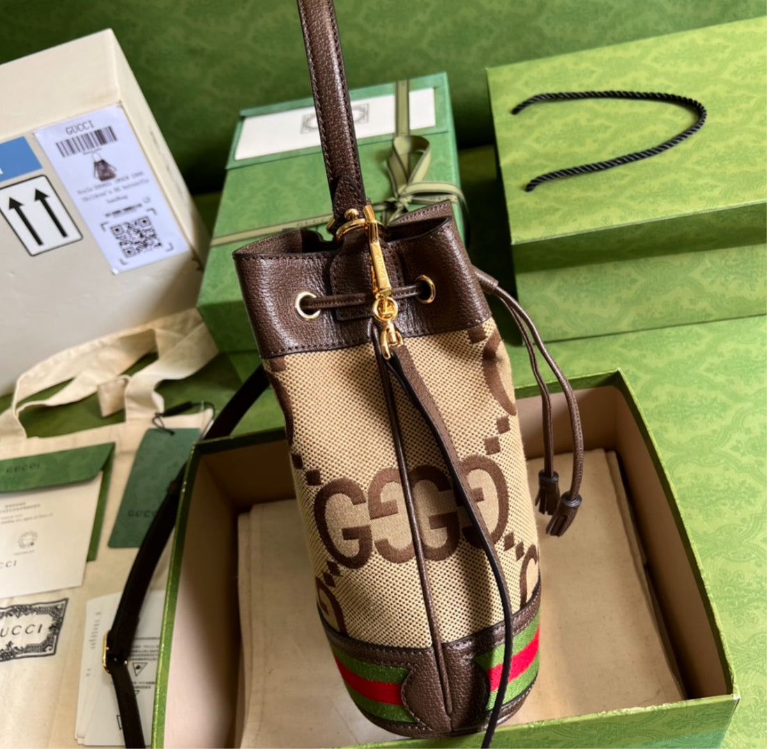 Woman Gucci handbag