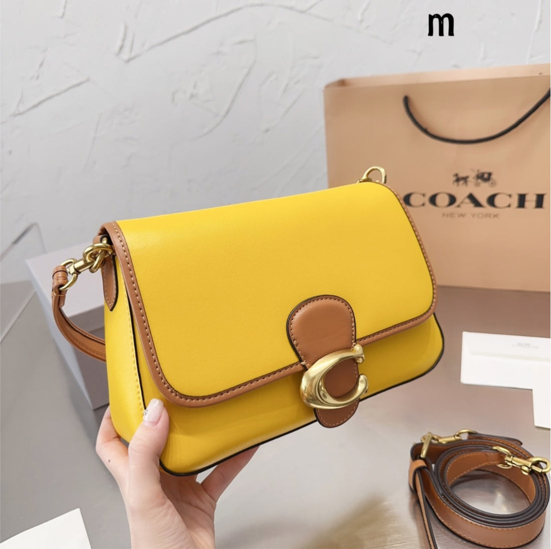 Woman coach spring Handbag