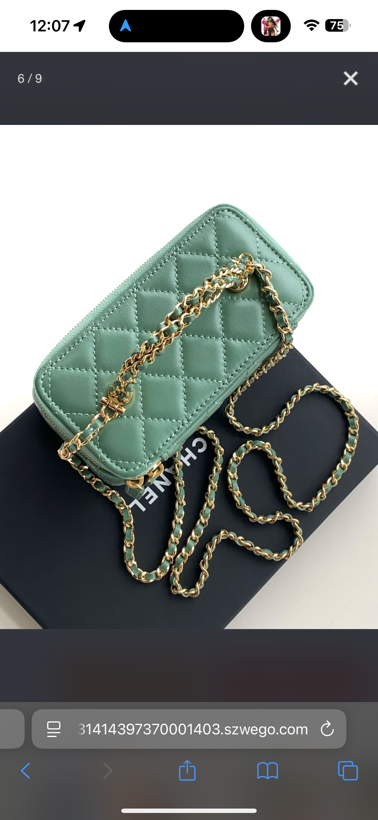 Leather green Chanel handbag