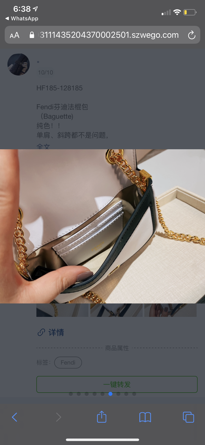 New woman Fendi handbag