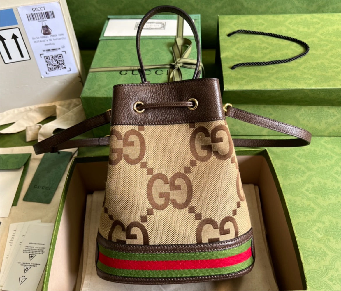 Woman Gucci handbag