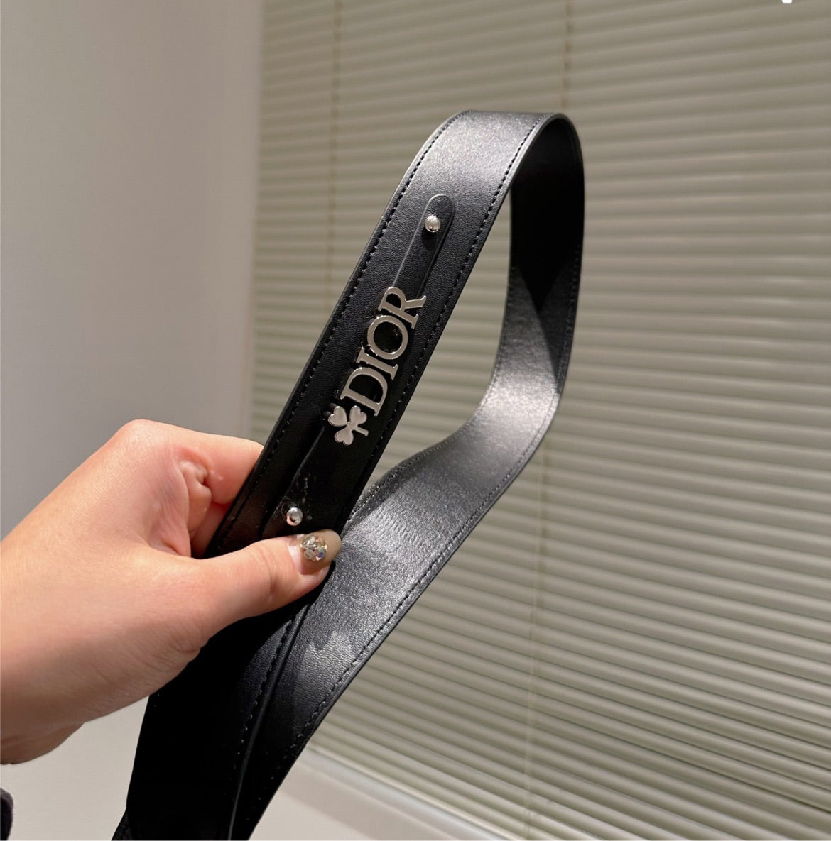 Dior woman black/silver Handbag