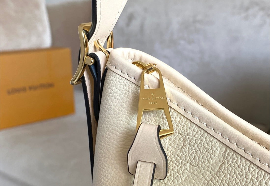 Carry All LV a woman shoulder bag