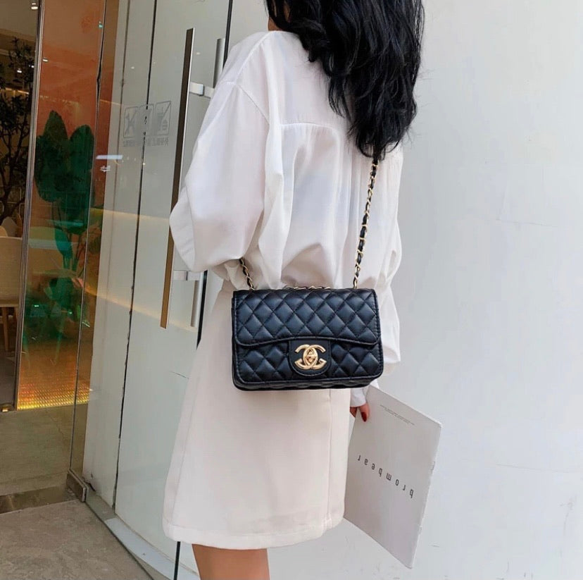 Spring/Summer new trendy handbags