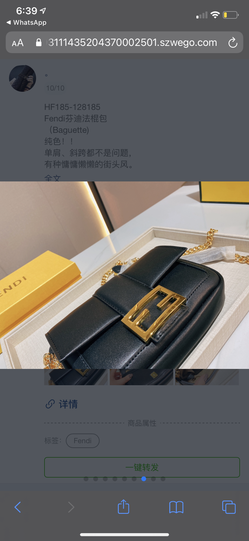 New woman Fendi handbag
