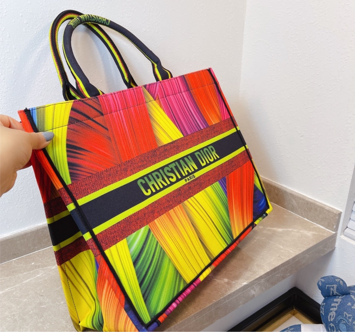 Colorful Dior Large Handbag