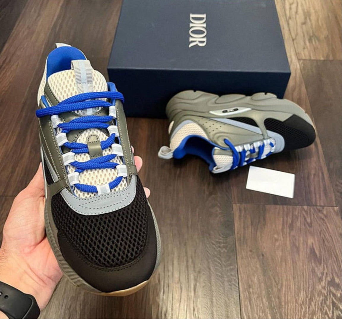 New Dior sneaker