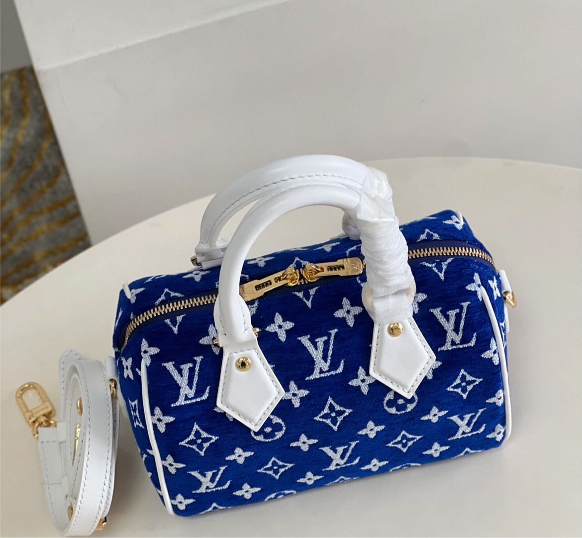 LV speedy handbag