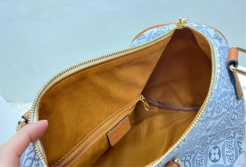 Grey new LV handbag