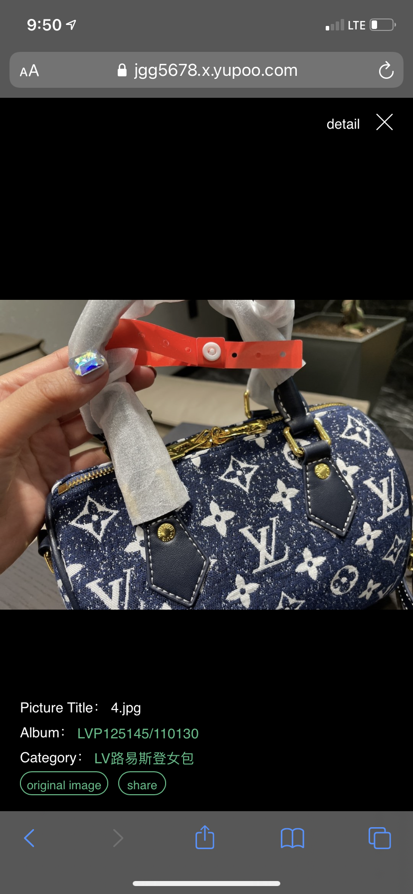 Blue LV new Handbag