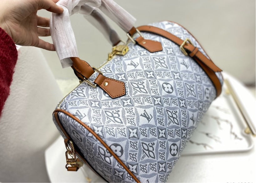 Grey new LV handbag