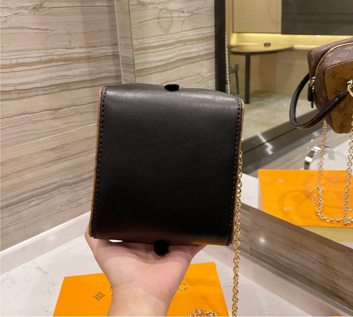Leather LV a woman handbag