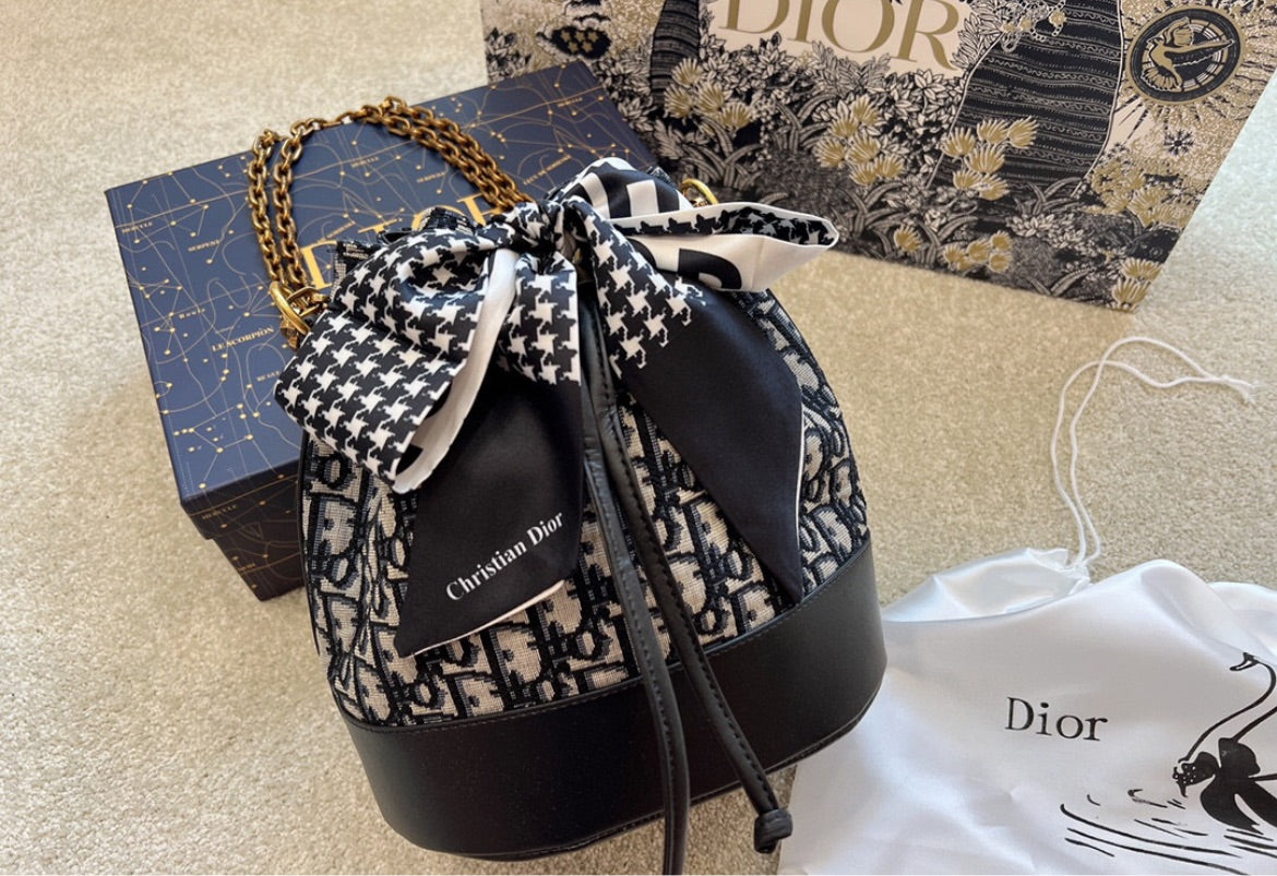 Dior woman handbag