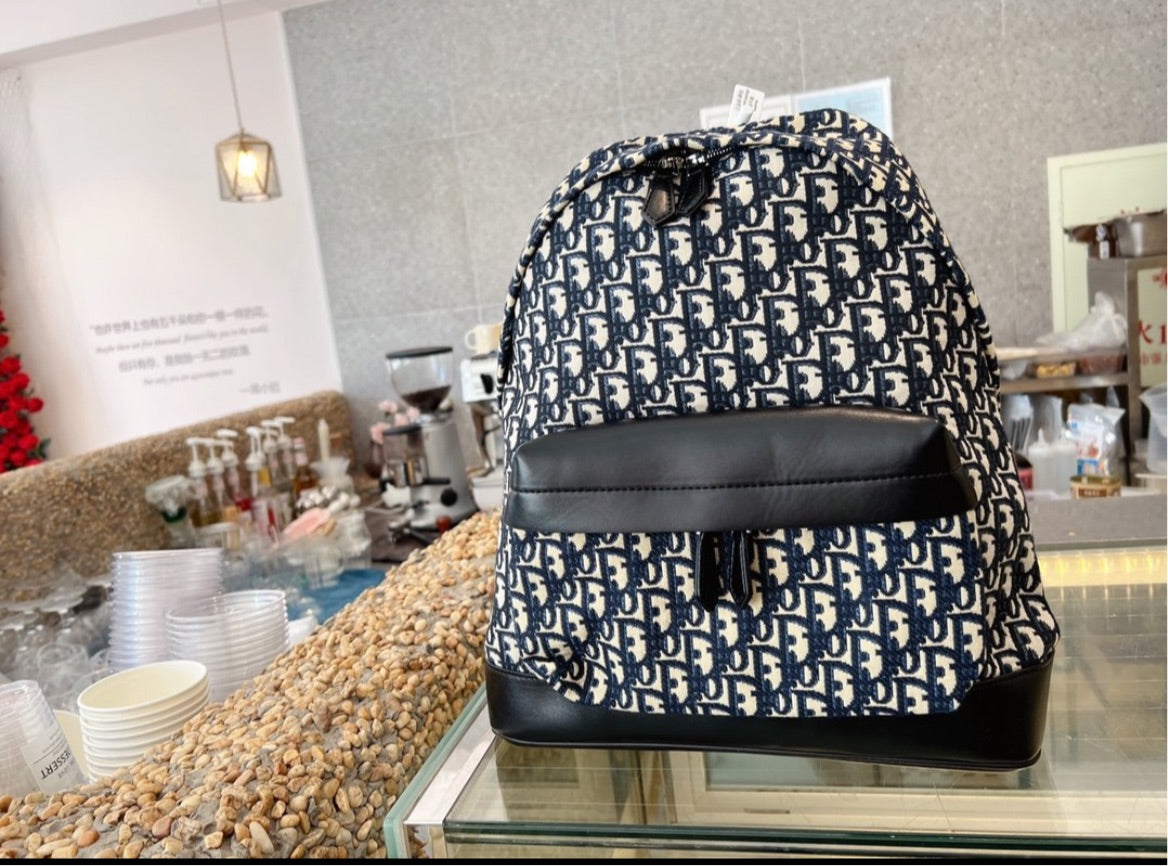 Dior new backpack