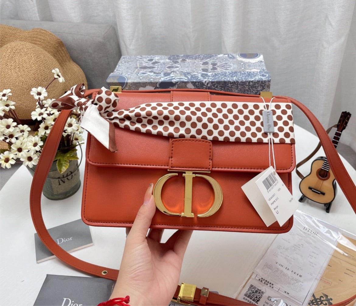 New woman Dior handbag