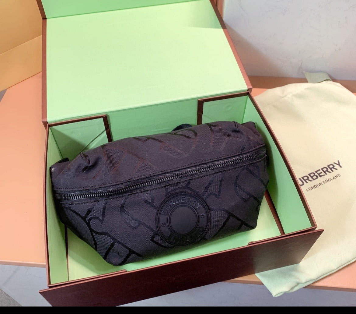 Burberry new Fanny pack