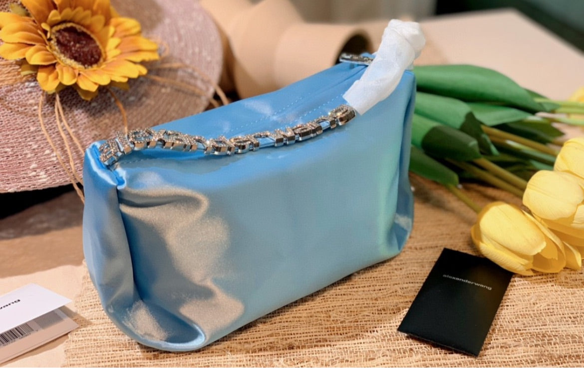 Alexandra wang woman handbag