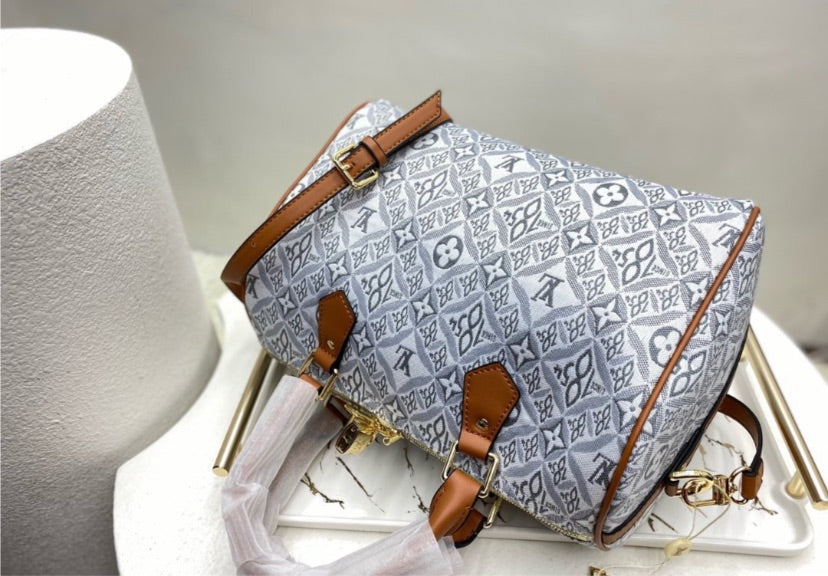 Grey new LV handbag