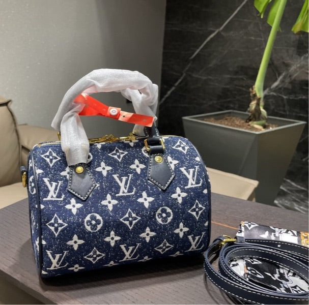 Blue LV new Handbag