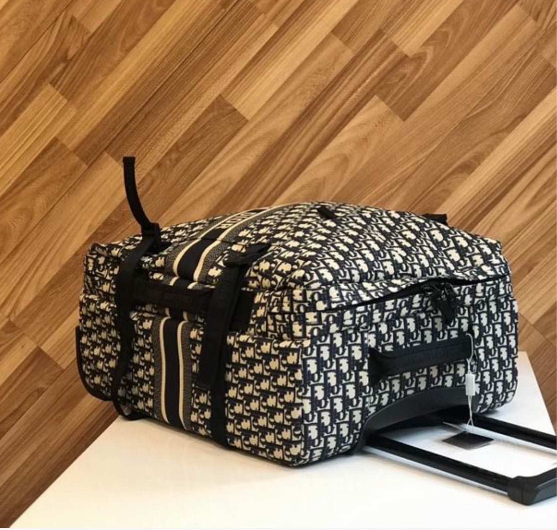 Christian Dior new Travel Luggage