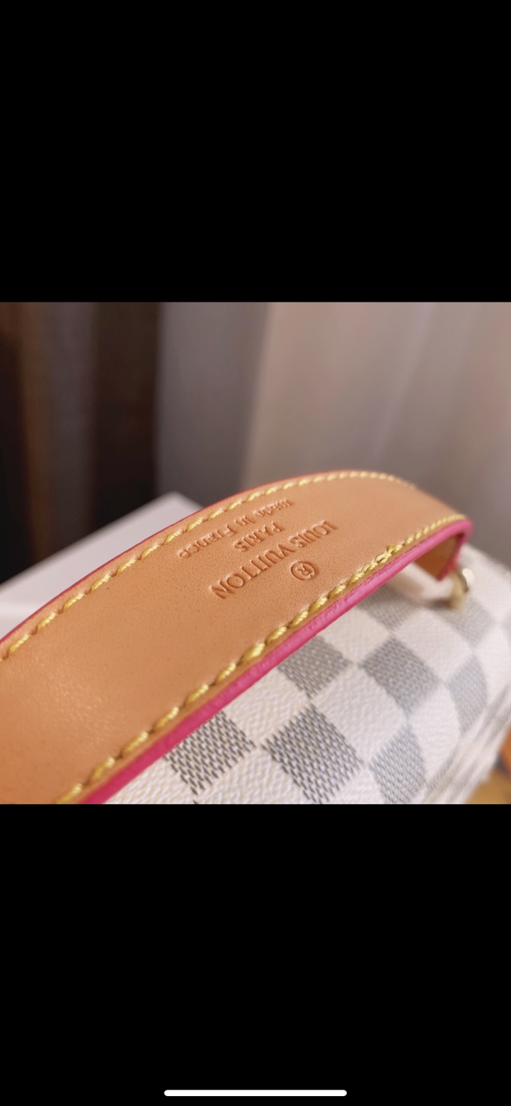 Louis Vuitton ladies leather handbag