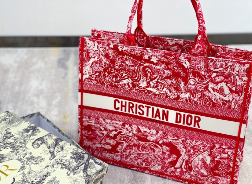 New woman DIOR handbag
